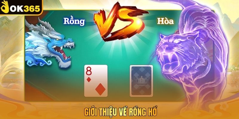 Giới thiệu về Rồng Hổ