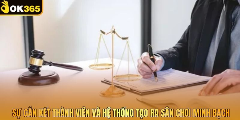 Sự gắn kết thành viên và hệ thống tạo ra sân chơi minh bạch